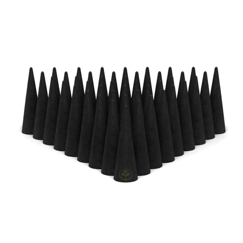 Pumpkin Spice Charcoal Incense Cones 2" BACKFLOW - 60 Pack - Natural Scented Cones Handmade Hand Dipped