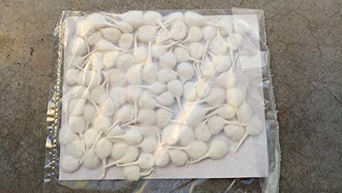 Khandekar Handicrafts Cotton Wool Oil Lamp Wicks, Round Diya Batti Oil Lamps Lanterns Candles, Puja Wicks, Pure Organic Batti, Religous Jyot Bati - White, Pack of 100