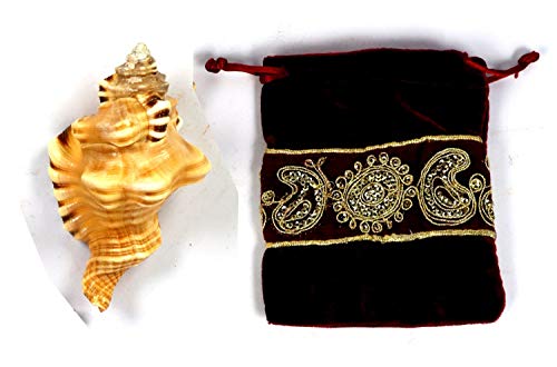 ASHIRWAD Original Ganesh Shankh, Conch Shell for Puja Ritual, Ganesha mukhi varti Ganpati Bhakti Aarti Shankha (4.0 inches in Pouch) - size: Ganesh Shankh (Pouch) - 4.0 IN