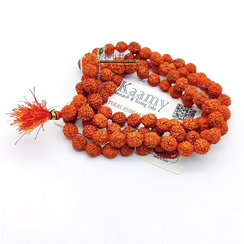 BRIJ HAAT Panch mukhi rudraksha mala 108+1 Beads for Meditation Brown