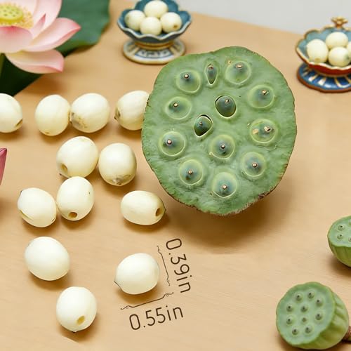Dried Lotus Seed, 8 oz (227g) Chinese Herbal Tea
