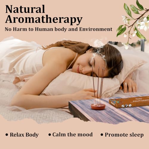 Pure Palo Santo Incense Sticks, 100%-Natural Charcoal Free Organic Non Toxic Clean Burning Handmade Insence Sticks 100 gm Pack, Meditation Gifts – Spritual Cleansing - color: Palo Santo