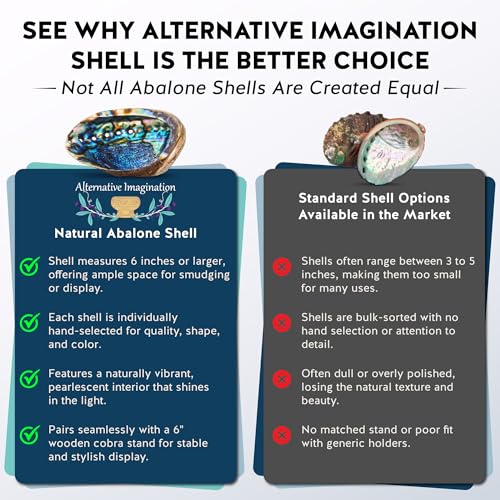 Hand Selected Abalone Shell, 6-Inch+ Polished Smudging & Display Bowl