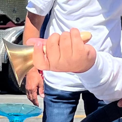 SINJEUN 4 PCS 6 Inch Brass Hand Bell, Solid Brass Hand Call Bells with Wooden Handle, Loud Ringing Bell Restaurant Call Service Bell for Christmas, School, Home, Restaurant, Bride Wedding