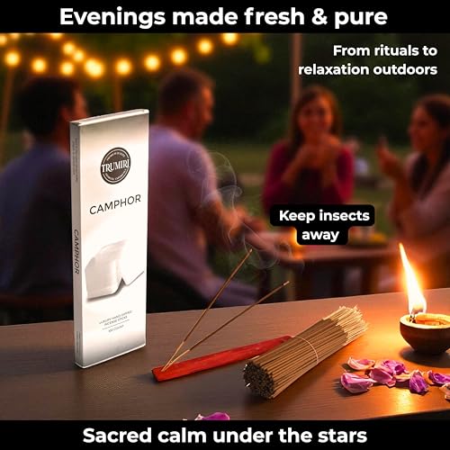 Camphor Incense Sticks - Bulk Pack of 100 Insence-Sticks - Made with Natural Non Toxic Alcanfor Inscent - Scented Incienso Spiritual Insense Incents - color: Camphor