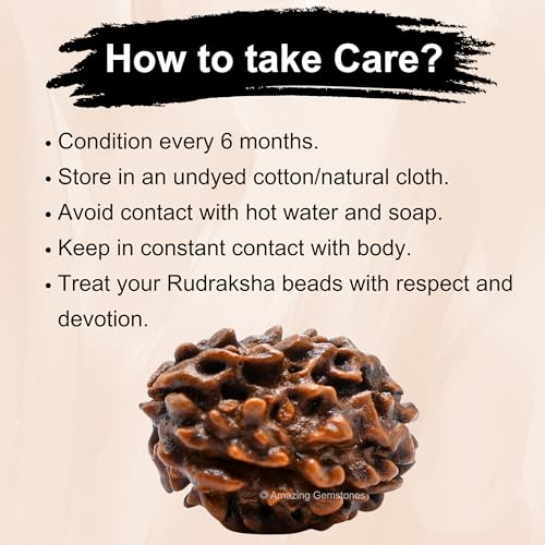 Amazing Gemstone Authentic 3 Mukhi Rudraksha Bead – Natural Nepali Rudraksha for Meditation, Prayer, Protection, Chakra Healing, and Spiritual Growth - color: 3 Mukhi