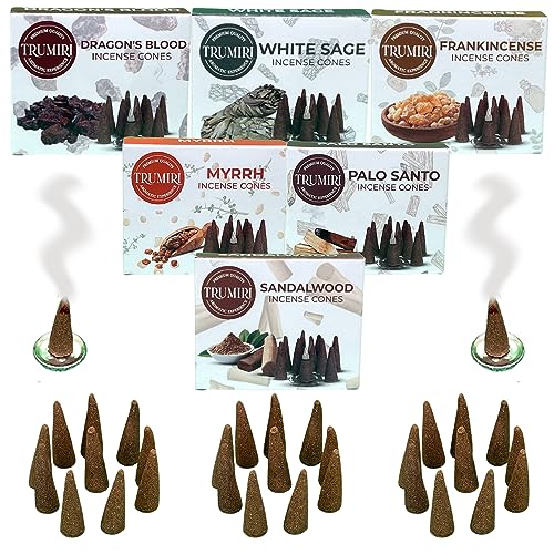 Trumiri Woody Incense Cones - Variety Pack - Total 60 Cone Incense (6 Scents x 10 Conos) - White Sage, Palo Santo, Dragons Blood, Sandalwood - Inscents-Cones Scented - Insense Cones - Incent Cone - color: Woody