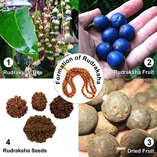 Wonder Care Authentic Rudraksh Mala-5face- Genuine Himalayan Rudraksha Seeds Religious Ornament Rosary Japa Mala Necklace Prayer Mala Healing Beads - color: 54+1 beads-10pc