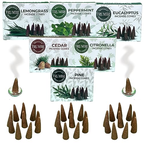 TRUMIRI Leafy Incense Cones - Variety Pack - Total 60 Cone Incense (6 Scents x 10 Conos) - Citronella Lemongrass Eucalyptus Peppermint Cedar Pine - Cone Incense Scents - Insense Cones - Incent Cone - color: Leafy