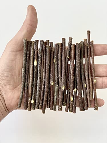 ECOVENIK - 100 psc - Small Wood Sticks for Crafts - 4 Inch Birch Wood Craft Sticks - Natural Twigs Sticks for Crafting, DIY School Projects, Card Making, Embellishments & Photo Props - size: pack of 100 psc (4 inch)
