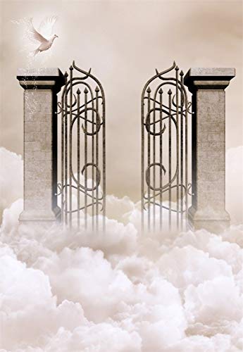 Laeacco 5x7ft Holy Heaven Gate Backdrop Dove White Cloud Magical Mystery Backdrop for Birthday Baby Shower Party Decor Adults Portraits Wedding Photo Studio Props Trunk or Treat Booth