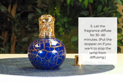 Sophia's Exotic Fragrance Lamp Oil Refills, Effusion Lamp Fragrance Oil for Redolere Lamps, Scented Lamp Oil for Fragrance Lamps, 16 Fluid Ounces of Catalytic Scented Oil Made in USA - color: Exotic