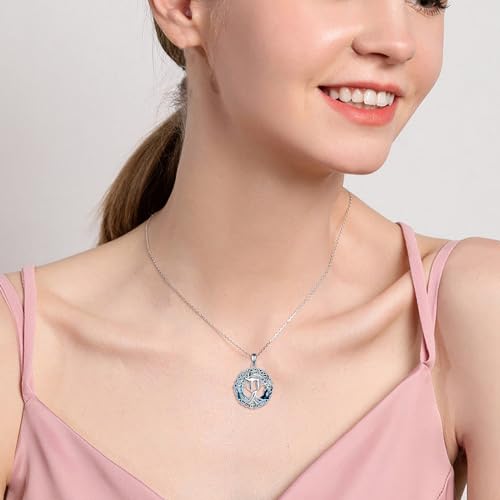 YFN Tree of Life Necklace Sterling Silver Celtic Knot Tree Pendant Jewelry Gifts for Women Men - color: Hebrew Chai Crystal