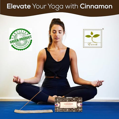 Satya Cinnamon Incense Sticks, Satya Bng (Bangalore) Insenses 15gmx12 Pack with Raajsee Incense Holder Bundle, Satya Nagchampa Natural Incense - color: Cinnamon