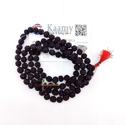BRIJ HAAT Panch mukhi Black rudraksha mala 108+1 Beads for meditation Black
