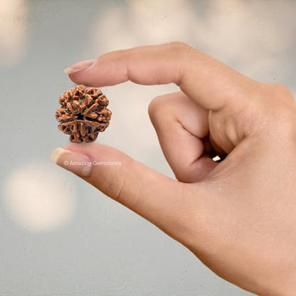 Amazing Gemstone Authentic 5 Mukhi Rudraksha Bead – Natural Nepali Rudraksha for Meditation, Prayer, Protection, Chakra Healing, and Spiritual Growth - color: 5 Mukhi