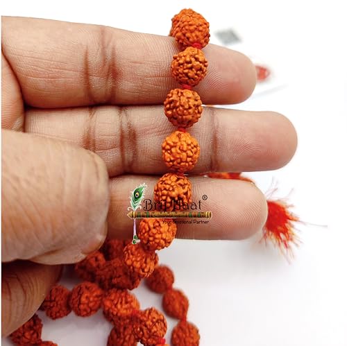 BRIJ HAAT Panch mukhi rudraksha mala 108+1 Beads for Meditation Brown