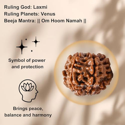 Amazing Gemstone Authentic 7 Mukhi Rudraksha Bead – Natural Nepali Rudraksha for Meditation, Prayer, Protection, Chakra Healing, and Spiritual Growth - color: 7 Mukhi