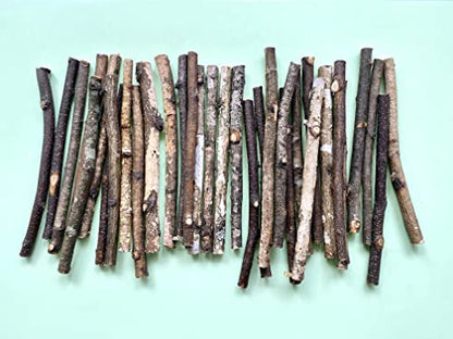 ECOVENIK - 200 g, Wood Sticks for Crafts - 6 Inch Birch Wood Craft Sticks - Natural Twigs Sticks for Crafting, DIY School Projects, Card Making, Embellishments & Photo Props (200 g) - size: pack of 200 grams