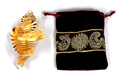 ASHIRWAD Original Ganesh Shankh, Conch Shell for Puja Ritual, Ganesha mukhi varti Ganpati Bhakti Aarti Shankha (4.0 inches in Pouch) - size: Ganesh Shankh (Pouch) - 4.0 IN