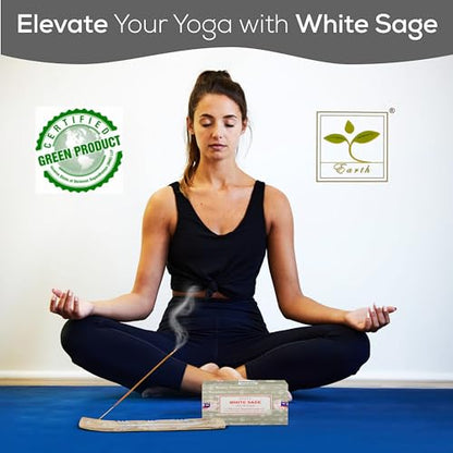 Satya Nag Champa White Sage Incense Sticks, SatyaBng (Bangalore) Insenses 15gmx12 Pack with Raajsee Insence Holder Bundle, Nag Champa Natural Incense - color: White Sage