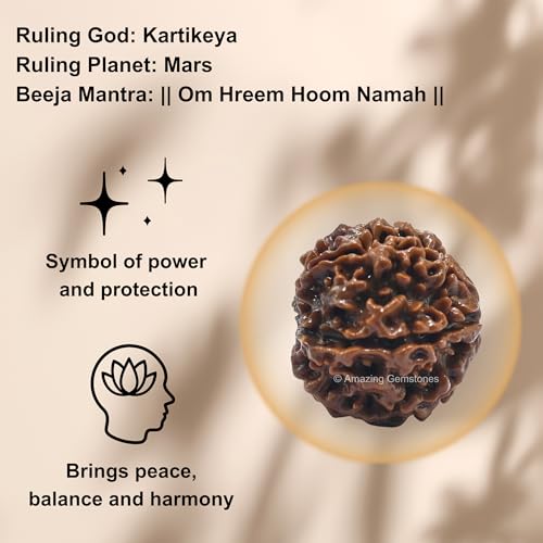 Amazing Gemstone Authentic 6 Mukhi Rudraksha Bead – Natural Nepali Rudraksha for Meditation, Prayer, Protection, Chakra Healing, and Spiritual Growth - color: 6 Mukhi