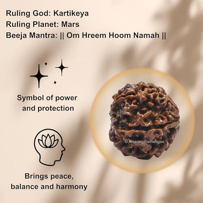 Amazing Gemstone Authentic 6 Mukhi Rudraksha Bead – Natural Nepali Rudraksha for Meditation, Prayer, Protection, Chakra Healing, and Spiritual Growth - color: 6 Mukhi