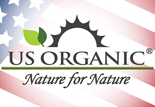 US Organic Sesame Seed Oil, Certified Organic, Untoasted, Unrefined Virgin, Pure & Natural, Cold Pressed, in Amber Glass Bottle w/Glass Eyedropper, Sourced from Mexico (2 oz (Small)) - size: 2 Fl Oz (Pack of 1)