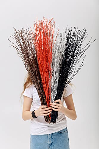 ECOVENIK - 25 psc - Black Birch Branches - 73 cm, Natural Birch Twigs, Pack of 20-25 Stems, Long for Floor vases, 29 inch (Black) - size: 25 psc - black