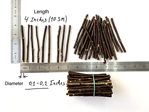 ECOVENIK - 100 psc - Small Wood Sticks for Crafts - 4 Inch Birch Wood Craft Sticks - Natural Twigs Sticks for Crafting, DIY School Projects, Card Making, Embellishments & Photo Props - size: pack of 100 psc (4 inch)