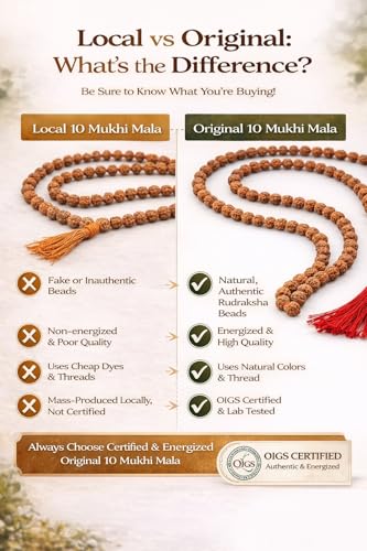 10 Mukhi Rudraksha Mala (108 Small Beads) – Original Certified Rudraksha Necklace for Men & Women – Spiritual Japa Mala for Protection, Positive Energy & Meditation