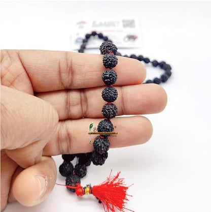 BRIJ HAAT Panch mukhi Black rudraksha mala 108+1 Beads for meditation Black
