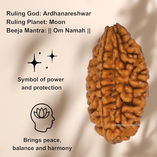 Amazing Gemstone Authentic 2 Mukhi Rudraksha Bead – Natural Nepali Rudraksha for Meditation, Prayer, Protection, Chakra Healing, and Spiritual Growth - color: 2 Mukhi