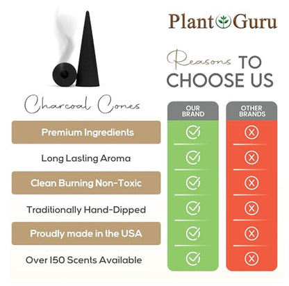 Pumpkin Spice Charcoal Incense Cones 2" BACKFLOW - 60 Pack - Natural Scented Cones Handmade Hand Dipped
