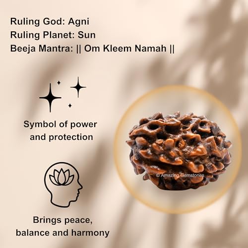 Amazing Gemstone Authentic 3 Mukhi Rudraksha Bead – Natural Nepali Rudraksha for Meditation, Prayer, Protection, Chakra Healing, and Spiritual Growth - color: 3 Mukhi