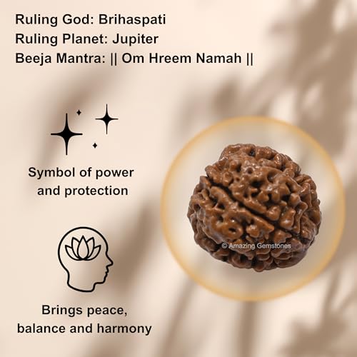 Amazing Gemstone Authentic 4 Mukhi Rudraksha Bead – Natural Nepali Rudraksha for Meditation, Prayer, Protection, Chakra Healing, and Spiritual Growth - color: 4 Mukhi