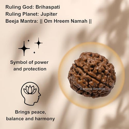 Amazing Gemstone Authentic 4 Mukhi Rudraksha Bead – Natural Nepali Rudraksha for Meditation, Prayer, Protection, Chakra Healing, and Spiritual Growth - color: 4 Mukhi