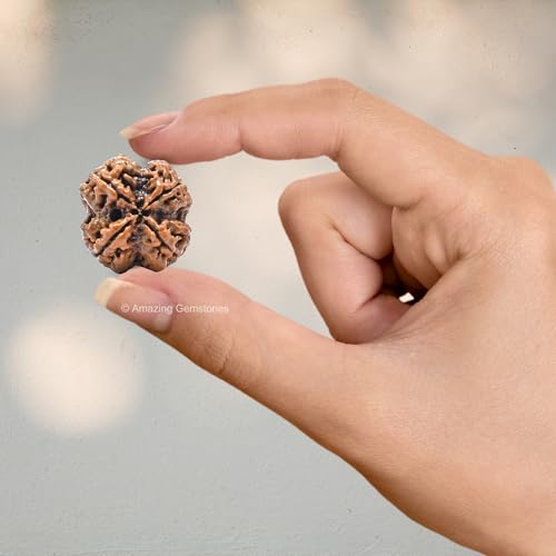 Amazing Gemstone Authentic 4 Mukhi Rudraksha Bead – Natural Nepali Rudraksha for Meditation, Prayer, Protection, Chakra Healing, and Spiritual Growth - color: 4 Mukhi