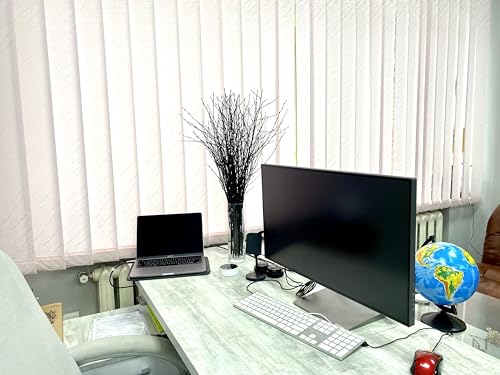 ECOVENIK - 25 psc - Black Birch Branches - 73 cm, Natural Birch Twigs, Pack of 20-25 Stems, Long for Floor vases, 29 inch (Black) - size: 25 psc - black