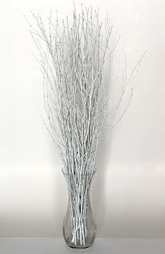 ECOVENIK 25 psc - Branches - 73 cm, Natural Birch Twigs, Pack of 20-25 Stems, Long for Floor vases, (White-Grey ) - size: 25 psc - white grey