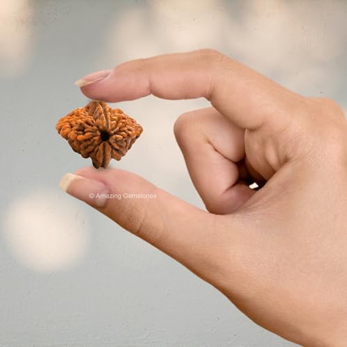 Amazing Gemstone Authentic 2 Mukhi Rudraksha Bead – Natural Nepali Rudraksha for Meditation, Prayer, Protection, Chakra Healing, and Spiritual Growth - color: 2 Mukhi