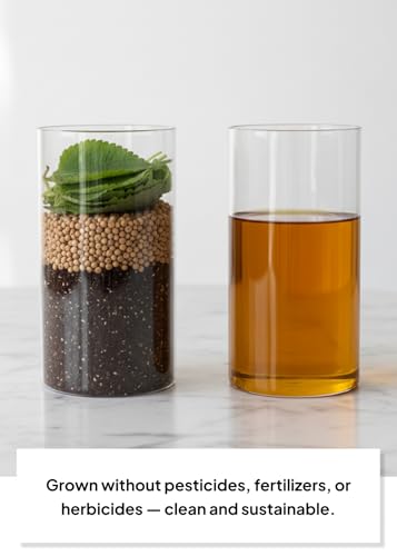 Korean Food Nutty Perilla Oil, Korean Perilla Seeds, Roasted Flavor, 180 ml