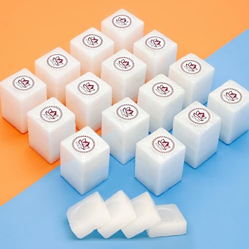 1LB Pure Camphor Tablets Cubes - 100% Natural Camphor Blocks for Indian Religious Purposes Pooja Aromatherapy, Odor Eliminator, Alcanfor,Puja Item - 64 Tablets (454G) - size: 454 grams - 64 tablets