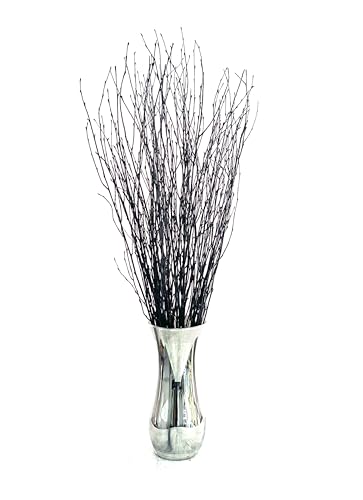 ECOVENIK - 25 psc - Black Birch Branches - 73 cm, Natural Birch Twigs, Pack of 20-25 Stems, Long for Floor vases, 29 inch (Black) - size: 25 psc - black