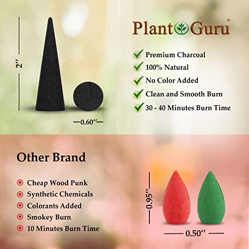 100 Unscented Charcoal Incense Cones 2" TOPFLOW - 100% Natural Blanks - Great for DIY Aromatherapy Incense Making, Burner and Holder