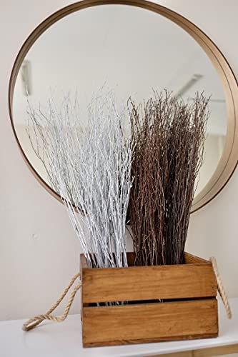 ECOVENIK 25 psc - Branches - 73 cm, Natural Birch Twigs, Pack of 20-25 Stems, Long for Floor vases, (White-Grey ) - size: 25 psc - white grey