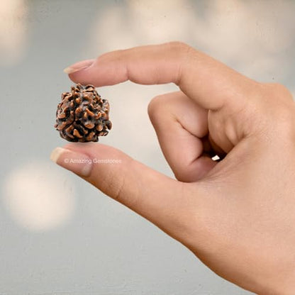 Amazing Gemstone Authentic 3 Mukhi Rudraksha Bead – Natural Nepali Rudraksha for Meditation, Prayer, Protection, Chakra Healing, and Spiritual Growth - color: 3 Mukhi