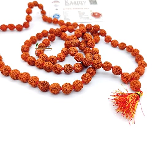 BRIJ HAAT Panch mukhi rudraksha mala 108+1 Beads for Meditation Brown