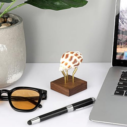 Hipiwe Metal Arm Display Stand Easel with Wooden Base Decorative Display for Sphere Crystal Ball Mineral Geodes Rock Agate Small Collectibles, Medium - size: Medium