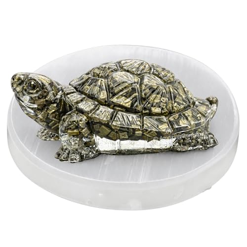 Amazing Gemstone Natural Pyrite Crystal Tortoise with Selenite Plate - color: Pyrite Tortoise With Selenite Plate, size: Regular